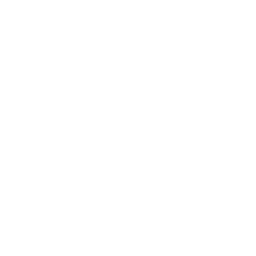 Cloud based solutions / SaaS